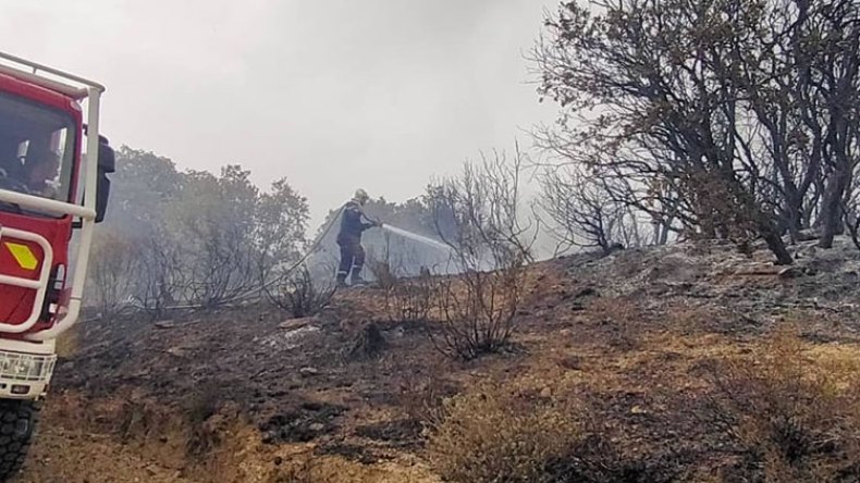 جرحى وخسائر مادية معتبرة جراء الحرائق في عدة ولايات