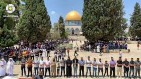 أداء صلاة الغائب في الأقصى ومساجد فلسطين على أرواح شهداء الجزائر   
