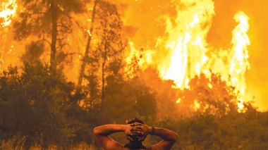 العديد من اللاعبين العالميين يتضامنون مع الجزائر