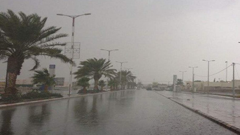 نشرية جديدة: أمطار رعدية وزوابع رملية عبر هذه الولايات