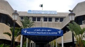 معهد باستور: هذا المتحور من فيروس كورونا الأكثر انتشارا في الجزائر