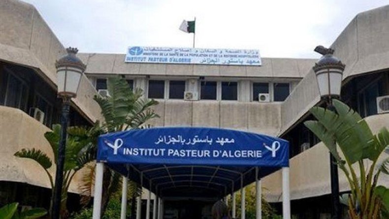 معهد باستور: هذا المتحور من فيروس كورونا الأكثر انتشارا في الجزائر