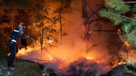 نيرانُ الأحقاد أخطر من حرائق الغابات