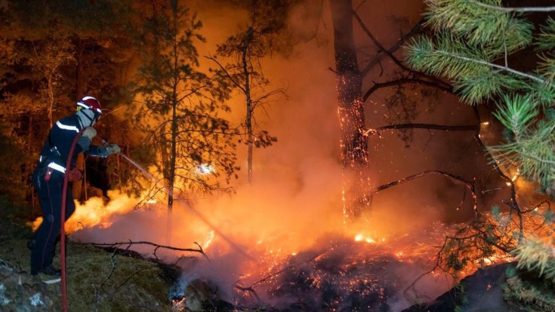 نيرانُ الأحقاد أخطر من حرائق الغابات