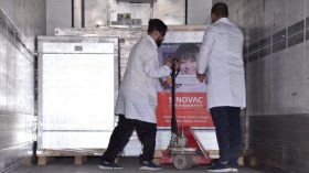 شحنة جديدة من لقاح سينوفاك تصل إلى الجزائر
