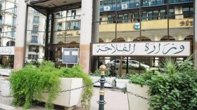 استرجاع 800 ألف هكتار من الأراضي غير المستغلة