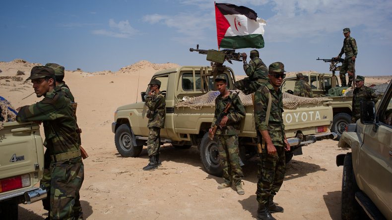 نزاع الصحراء الغربية: ولد السالك يكشف عن شروط وقف الحرب