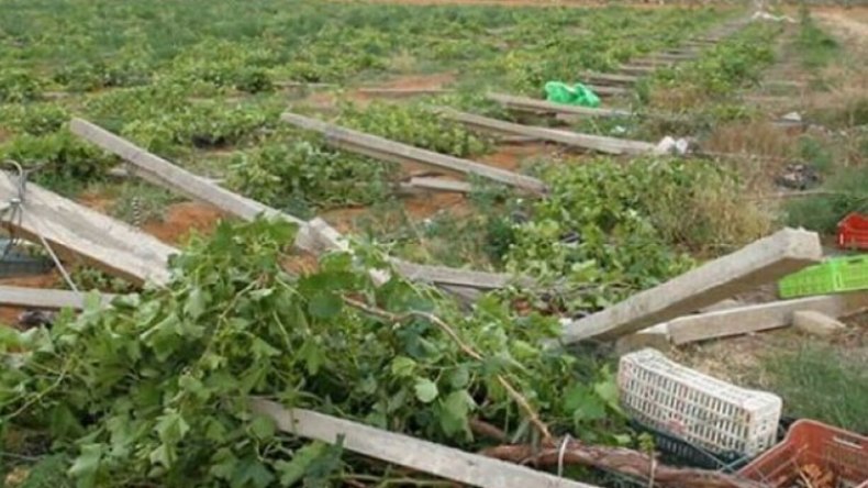 1.9 مليون فلاح ينتظرون التعويضات دون دفع التأمين!