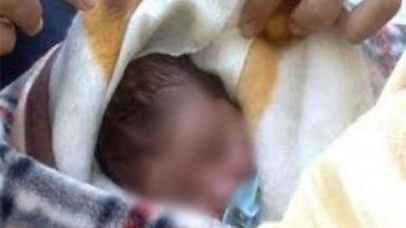 أخبار الجزائر ليوم الأربعاء 08 سبتمبر 2021