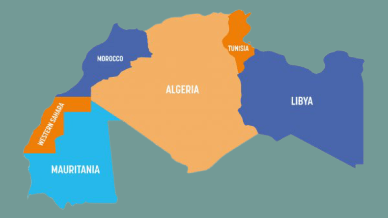 محمد السّادس يخشى قدوم الإعلام الجزائري إلى مراكش