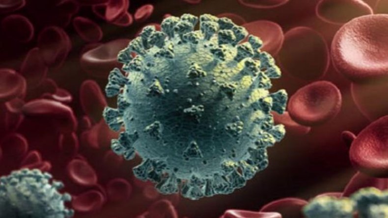 الجزائر ليست في مأمن من تهديدات المتحور “مو”