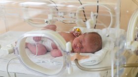 جزائريون يتحدون كورونا برفع معدلات الإنجاب!