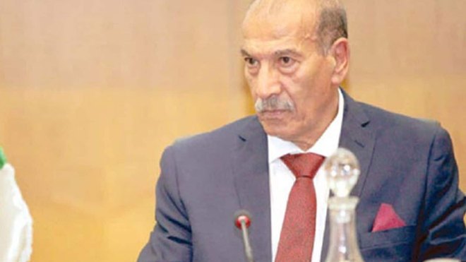 فنيش: قوانين عضوية بحاجة إلى المراجعة لتتماشى مع الدستور