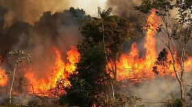 نساء ضمن المتهمين بافتعال الحرائق بقالمة