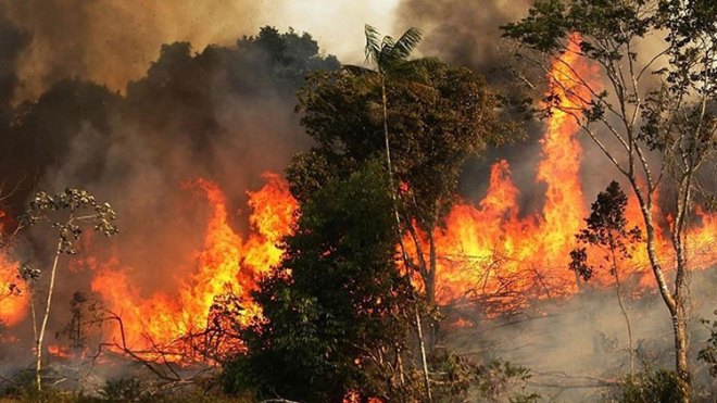 الداخلية: مواصلة عملية إخماد 13 بؤرة حريق عبر 7 ولايات