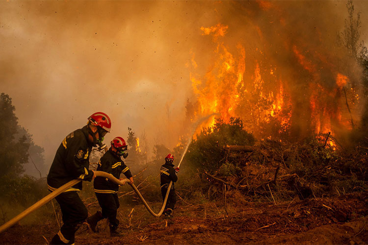 A Spanish Company To Fight Fires In Algeria