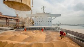 الجزائر وتركيا وإيران ومصر ترفع سعر الحبوب!