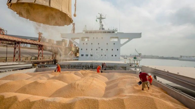 الجزائر وتركيا وإيران ومصر ترفع سعر الحبوب!