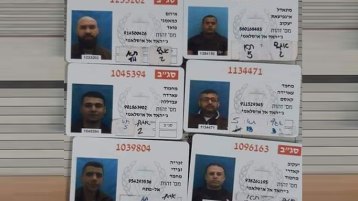 ستّة شبانٍ أولي عزم وبأس