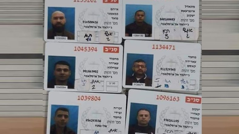 ستّة شبانٍ أولي عزم وبأس
