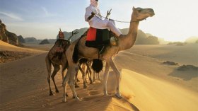 تكلفة تذاكر السفر أكبر معوقات السياحة الداخلية نحو الجنوب