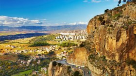 التربية الجديدة