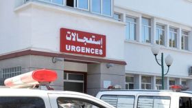 سطيف: تعرض 16 شخصا بينهم أطفال لعضات كلب مسعور