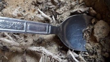 من سجن الكُدية إلى جلبوع