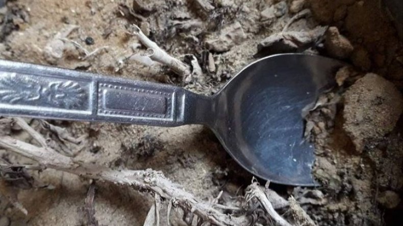 من سجن الكُدية إلى جلبوع