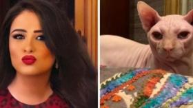بسبب قطها المخيف.. ياسمين عبد العزيز تتصدر الترند على غوغل وشبكات التواصل!