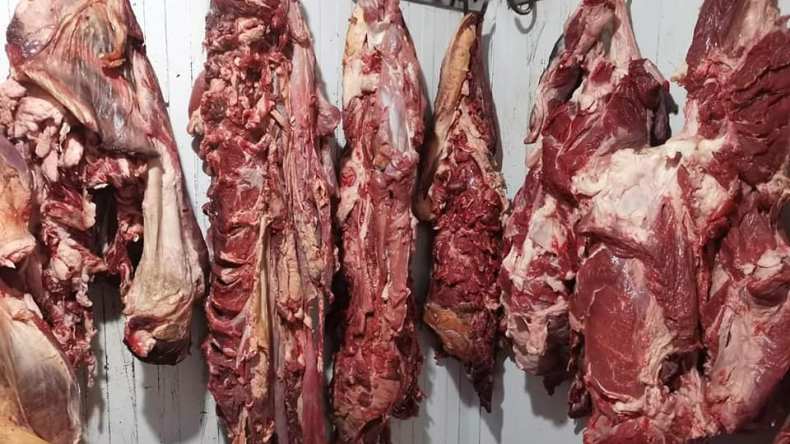 محتالون يسوّقون لحوما غير صالحة للاستهلاك البشري والحيواني