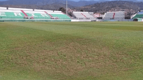 تشجير مئة متر!