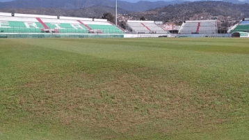 تشجير مئة متر!