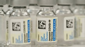 L’Onu nomme la cause principale de la propagation de nouvelles souches du Covid-19