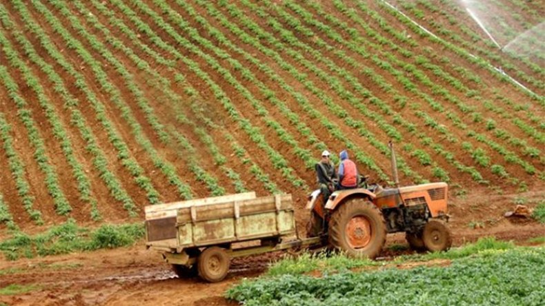 الأمطار تعيد الأمل إلى الفلاحين وتبشّر بموسم واعد