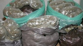 العلامات المقلدة لـ”الشمّة” تغزو السوق الجزائرية