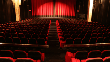 ضرورة تخمير المشاهدة