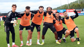 غزال يتماثل للشفاء لكنه غير معنيٍّ بِمُواجهتَي النيجر