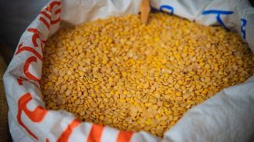 ضبط 80 طنا من العدس داخل ورشة سرّية بأم البواقي