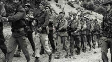 نوفمبر.. الإلهام المتجدّد 