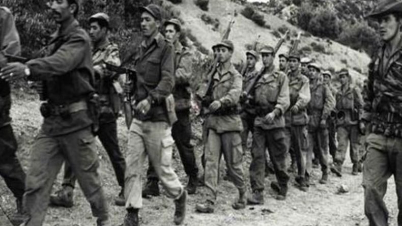 نوفمبر.. الإلهام المتجدّد 