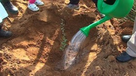 حملة لغرس مئات الأشجار بالغابات المحروقة بتيزي وزو