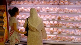 “المولد”.. ينقذ تجار الدجاج