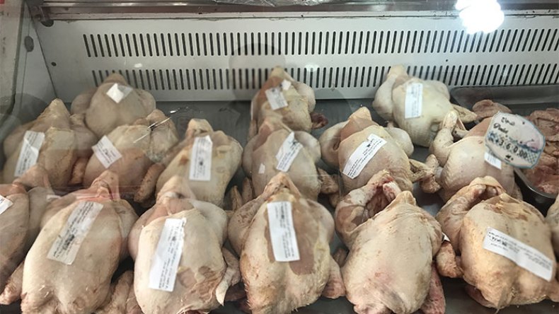 شركة “مذابح الغرب” تطرح الدجاج المجمد بـ 340 والطازج بـ 360 دج
