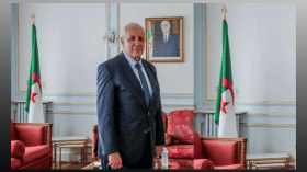 جالية الجزائر هي الأكبر وعليها التأثير في سياسة فرنسا
