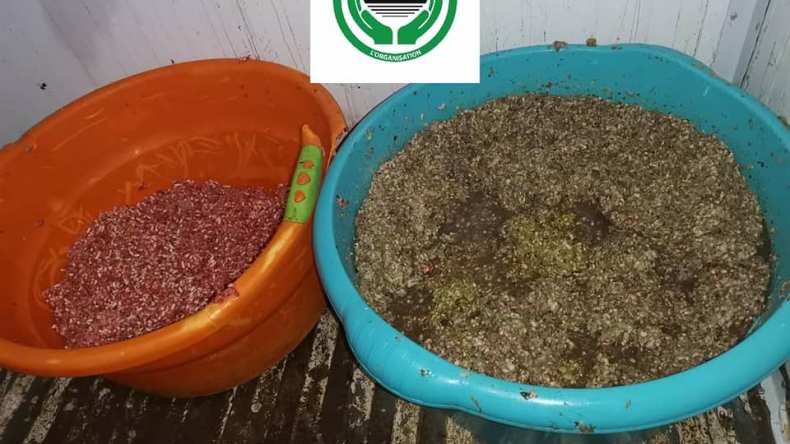 Oran: Saisie d’une viande mélangée a un conservateur de cadavres