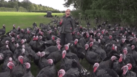 فيديو طريف.. ديك رومي يتحرش بمراسلة الـ CNN!