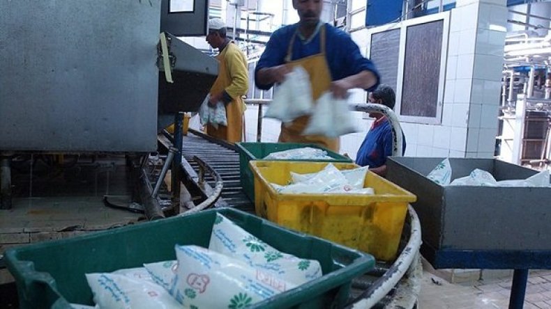 هذه أسعار حليب “الأكياس” عند الإنتاج والتوزيع