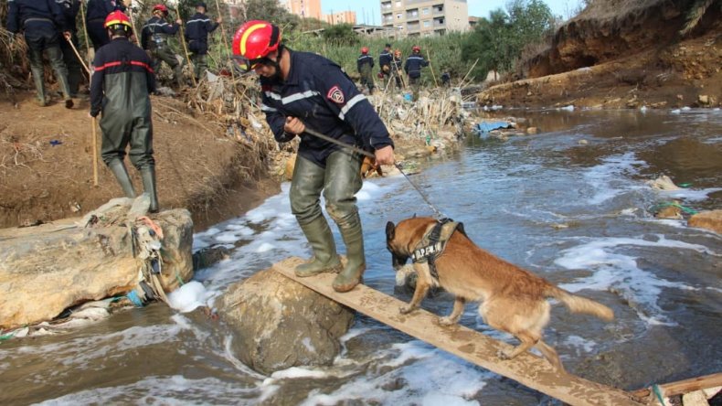بالصور.. أعوان الحماية من 4 ولايات للبحث عن المحامي المفقود
