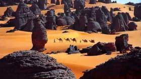 سلة غذاء العالم